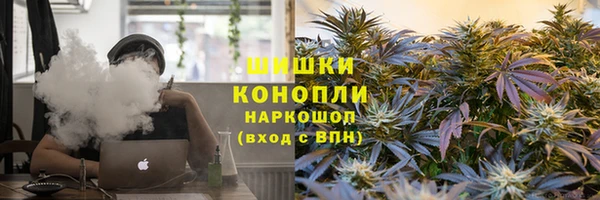 2c-b Бородино