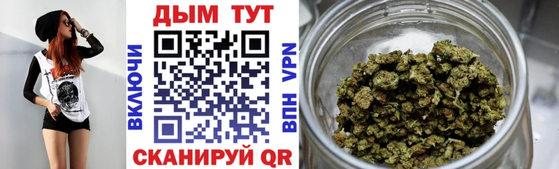Бошки Шишки сатива продажа наркотиков МЕГА ССЫЛКА Нерюнгри